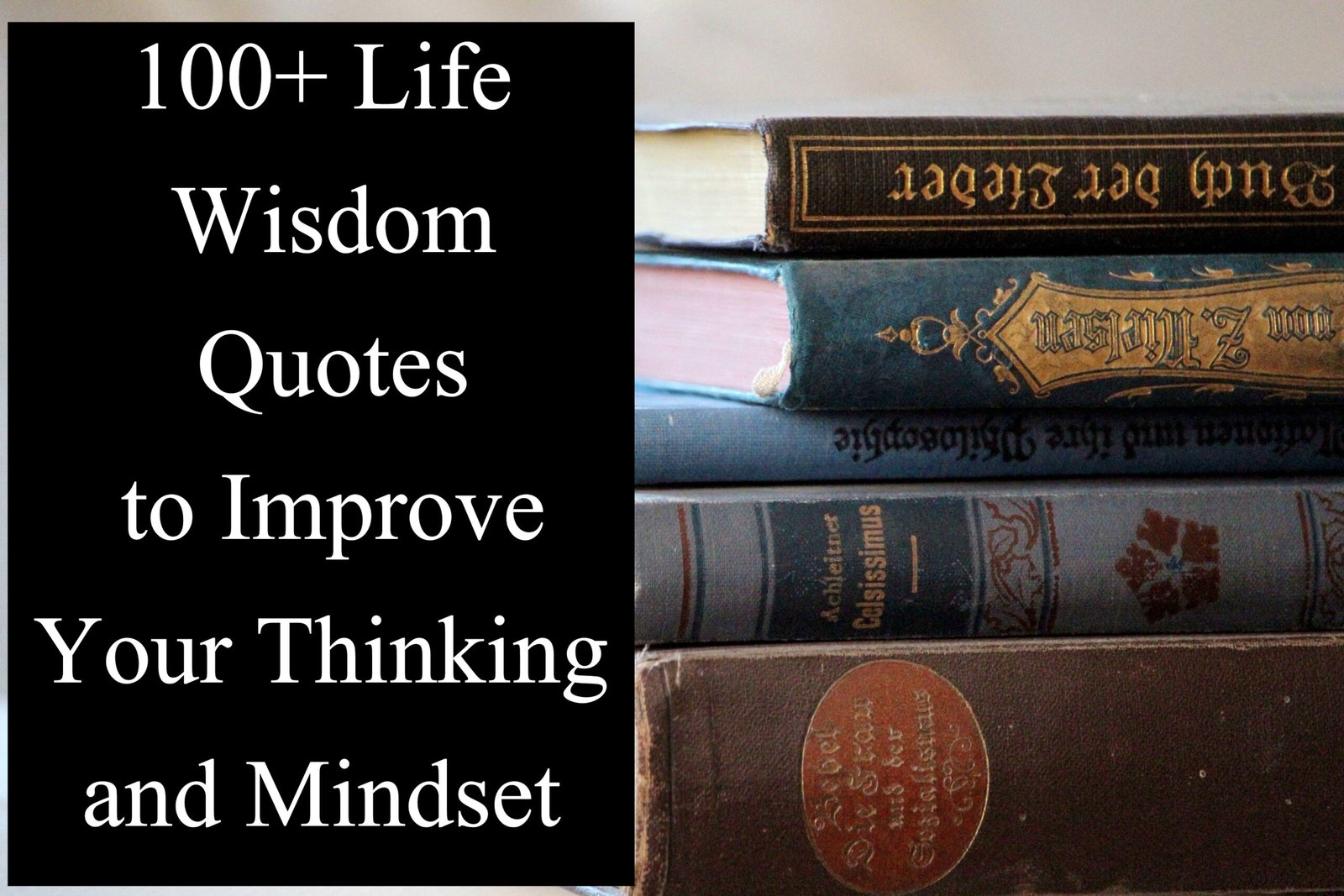 100+ Life Wisdom Quotes to Improve Your Thinking and Mindset