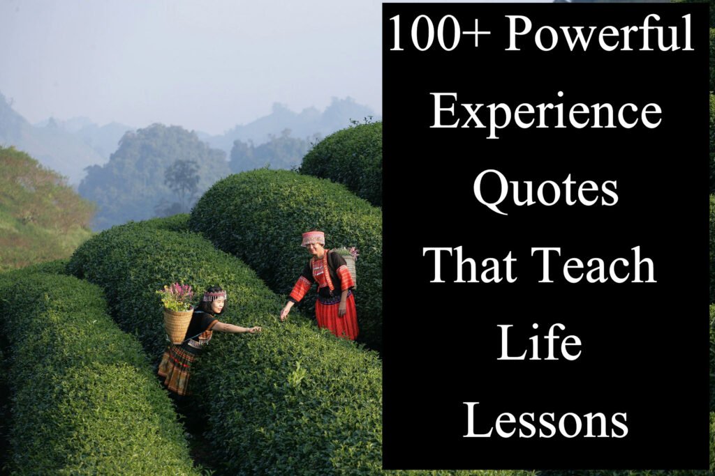 100+ Powerful Experience Quotes That Teach Life Lessons