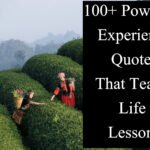 100+ Powerful Experience Quotes That Teach Life Lessons