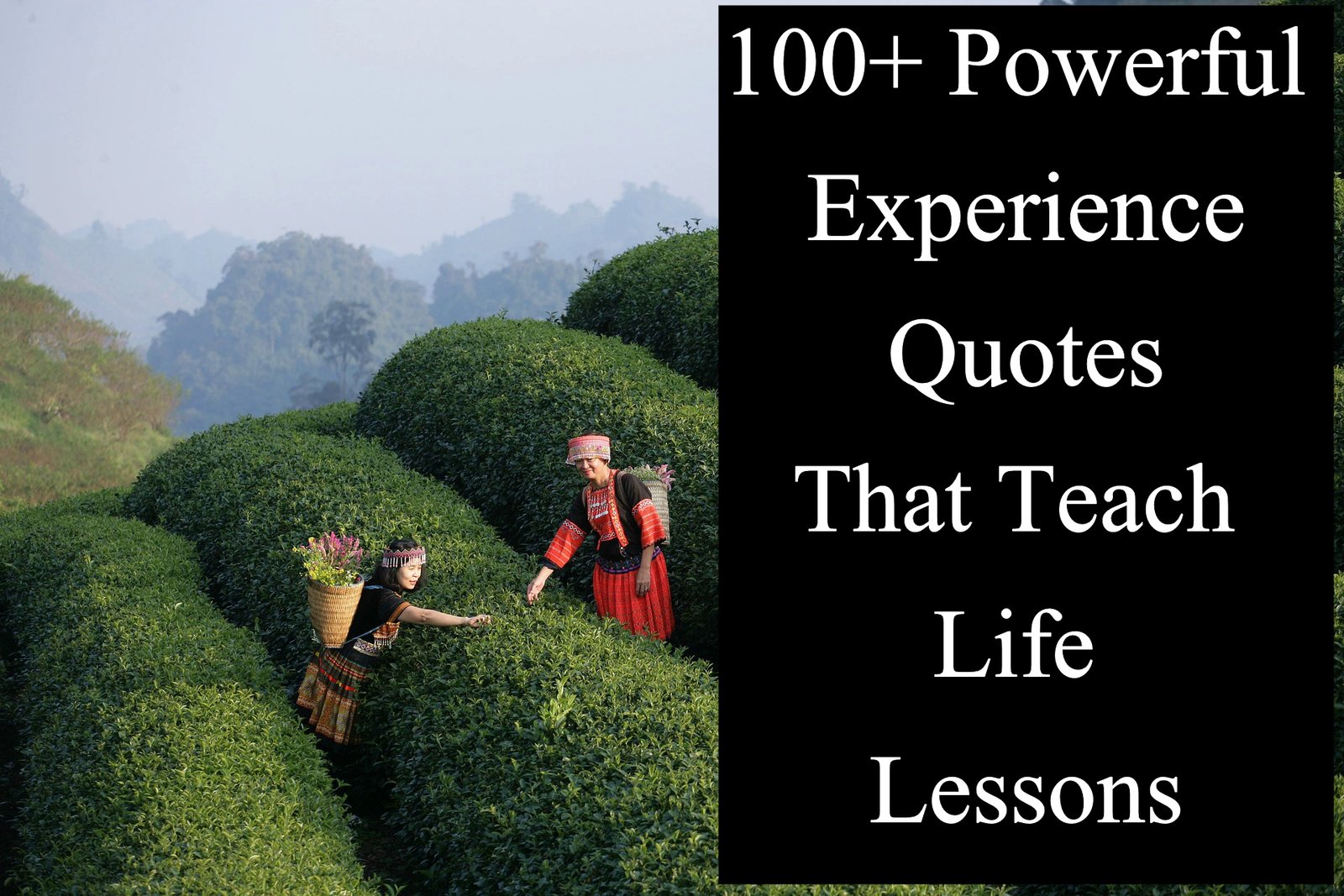 100+ Powerful Experience Quotes That Teach Life Lessons