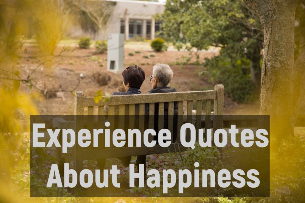Experience Quotes About Happiness