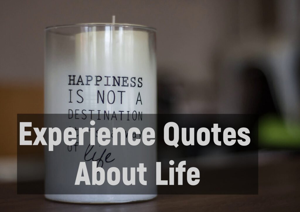 Experience Quotes About Life