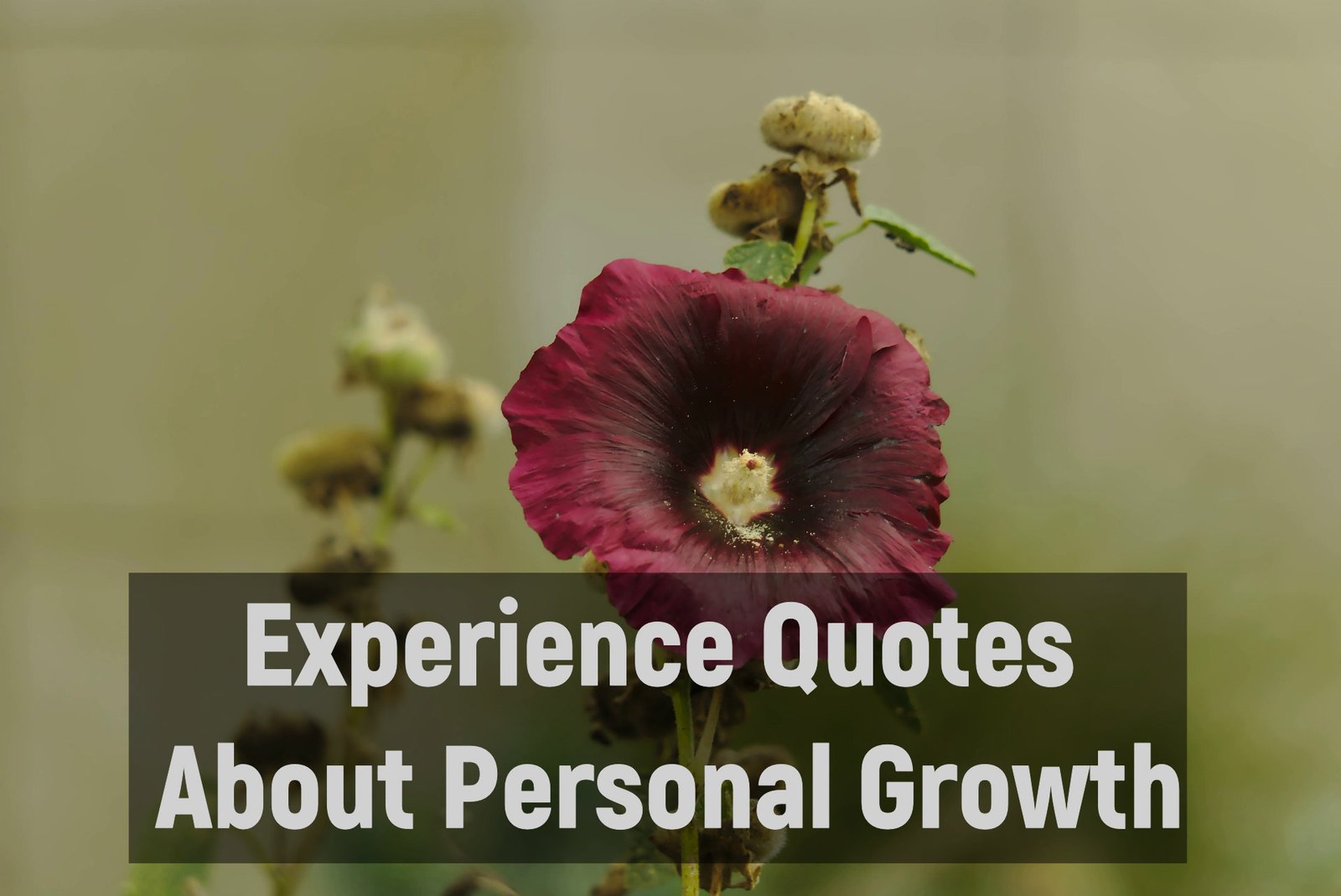 Experience Quotes About Personal Growth