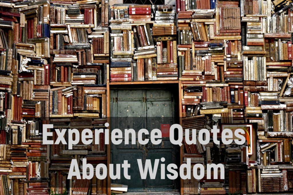 Experience Quotes About Wisdom