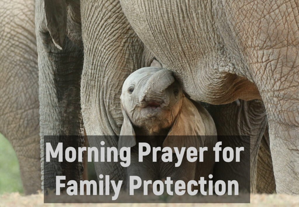 Morning Prayer for Family Protection