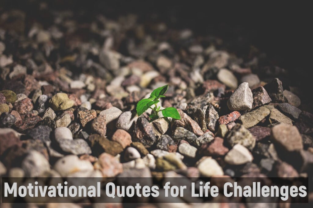 Motivational Quotes for Life Challenges