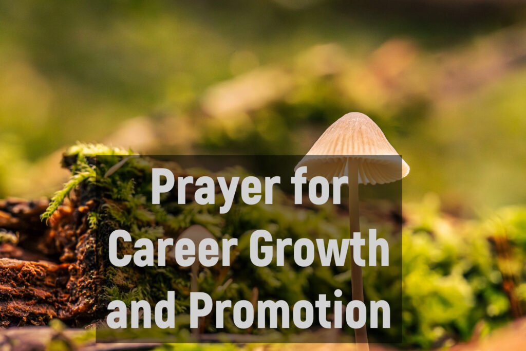 Prayer for Career Growth and Promotion
