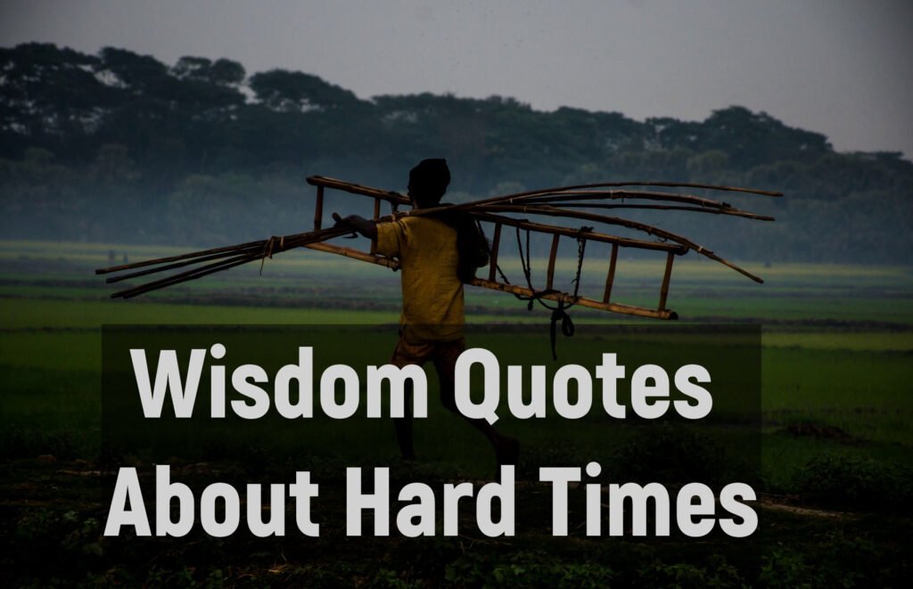 Wisdom Quotes About Hard Times