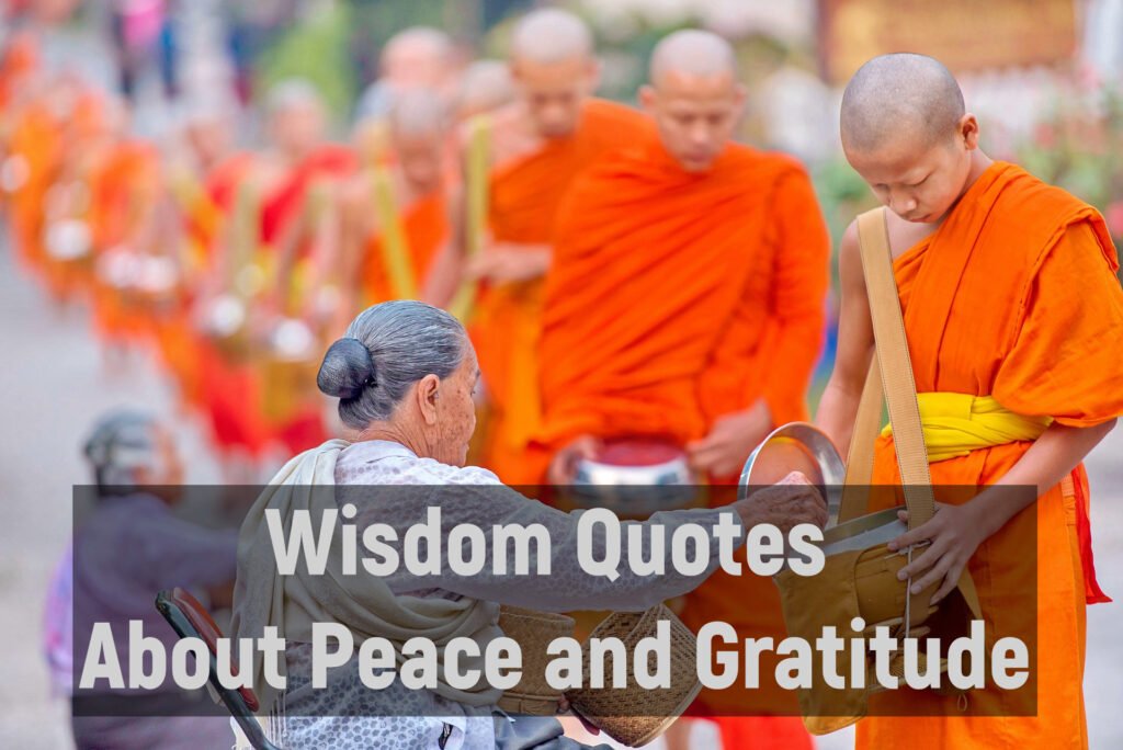 Wisdom Quotes About Peace and Gratitude