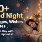 100+ Good Night Messages, Wishes & Quotes to End the Day with Peace & Happiness (Seo)