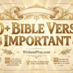 40 Bible Verses Important About Being a Good Man